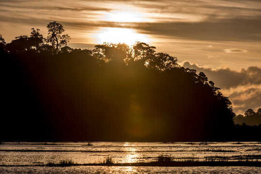 Macuco Lagoon photographed in Linhares, Espirito Santo. Southeast of Brazil. Atlantic Forest Biome. Picture made in 2014.