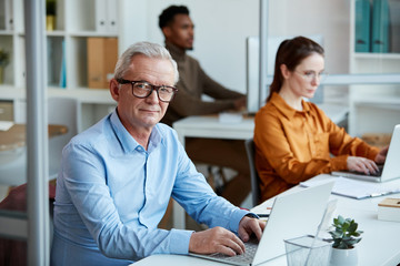 Obraz premium Portrait of mature businessman in eyeglasses typing on laptop computer while sitting at desk with his colleagues working in the background at office