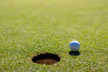 Golf club and ball in grass.