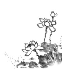 Fototapeta na wymiar Lotus, ink image. Handmade ink lotus flowers on a white background. Sumi-e traditional Japanese ink painting.