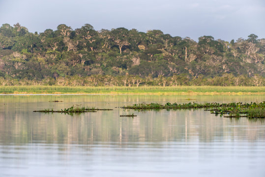 Macuco Lagoon photographed in Linhares, Espirito Santo. Southeast of Brazil. Atlantic Forest Biome. Picture made in 2014.