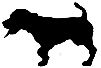 Beagle Silhouette Hund Schatten