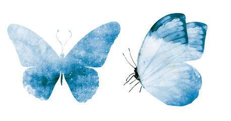 Two watercolor butterflies , isolated on white background