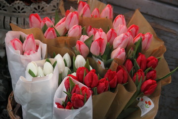 Bouquets de tulipes  © Estelle R