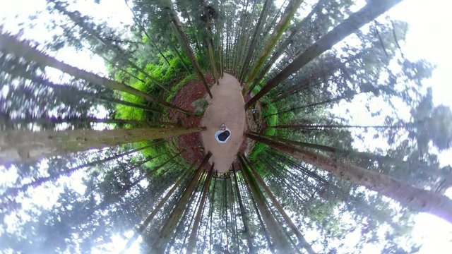 Boseong, South Korea 18 July 2019: Daehandawon. A man walking in forest with 360 degrees camera.  Little planet view in forest..