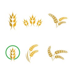 Wheat logo vector icon