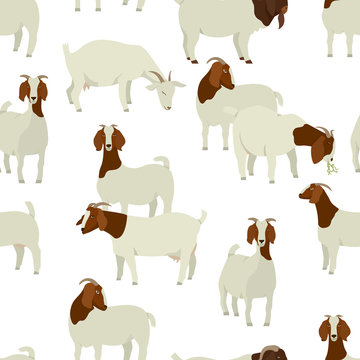 Farming today White & Brown Boer goats Vector illustration Seamless pattern