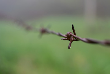 Selective focus photo of barbed wire fence in countryside