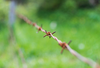 Selective focus photo of barbed wire fence in countryside
