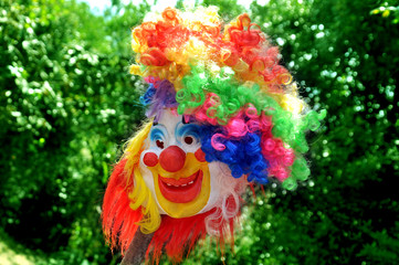 colourful hair funny mask