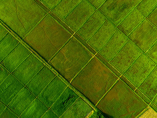 Rice Terrace Aerial Shot. Image of beautiful terrace rice field.