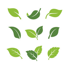set of green leaves element vector icon. green leaf vector symbol