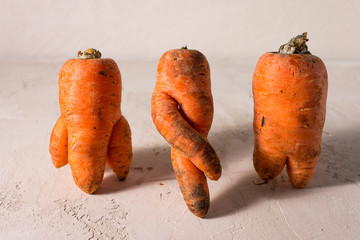 ugly vegetables, carrots on a light background.funny monster carrot The concept of non-waste...