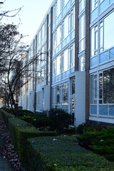 Budynki mieszkalne wśr&oacute;d drzew, krzew&oacute;w i trawnik&oacute;w.