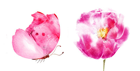 Watercolor natural set on white background