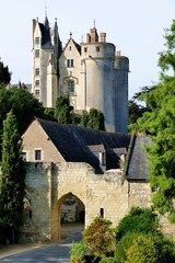 Fototapeta na wymiar La porte du moulin dans l’enceinte médiévale et château de la ville de Montreuil-Bellay