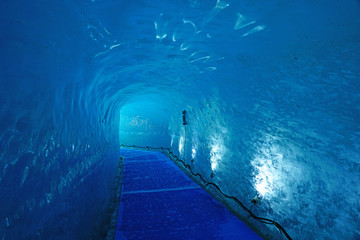 View The Mer Glace Landmark