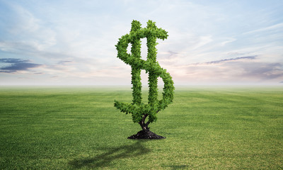Green plant in shape of dollar sign grows at field