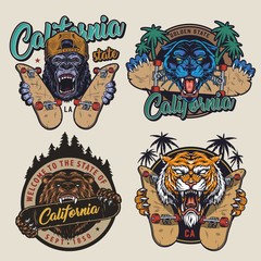 Vintage skateboarding colorful logotypes