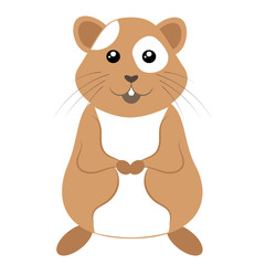 Cartoon hamster. Vector illustration on a white background. Drawing for children.