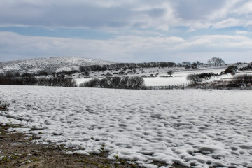 winter landscape