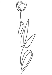 Tulip one line drawing. Continuous line flower. 