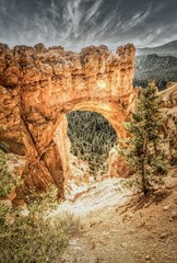 Natural Bridge Arch, Bryce Canyon National Park, Utah