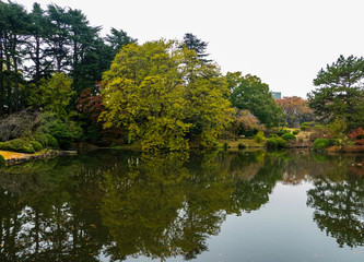 Fototapeta premium The Japanese garden.