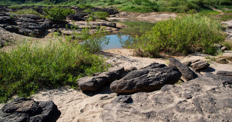 stream in the mountains