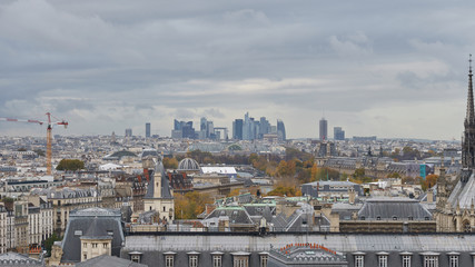 Fototapeta na wymiar Panoramic view to the Paris and river Seine from the roof of Notre Dame cathedral, France. Cloudy weather. Autumn. 