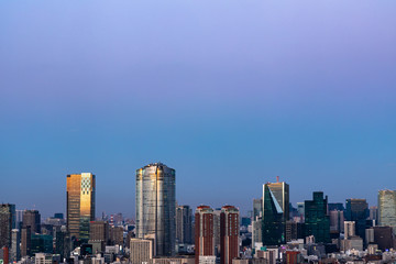 Fototapeta na wymiar Tokyo city view and sky