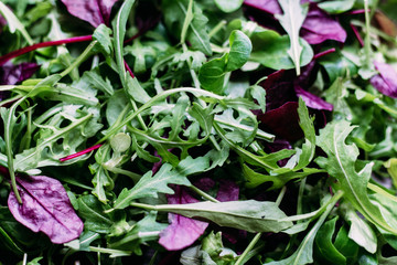 Leaves of arugula and young beets. Background