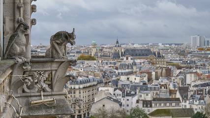Stone gargoyle on the roof of Notre Dame Cathedral in Paris, France. Overcast weather.