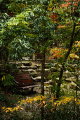 明治の森箕面国定公園・ベンチのある秋の風景