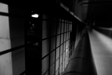 black and white photography with high key filter. 