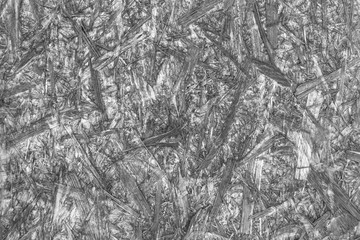 Fototapeta premium OSB