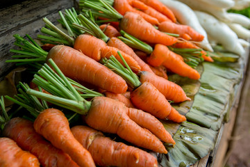 fresh carrots bunch in vegetable market.