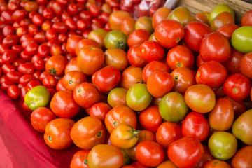Red tomatoes. Tomato background. cherry tomato. Group of fresh tomatoes.