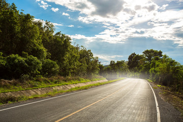 Naklejka premium road in the countryside