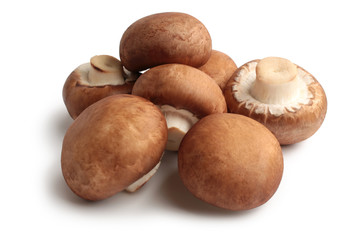 Fresh agaricus bisporus or portobello mushrooms