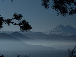 Mist, pine, and mountains in winter evening