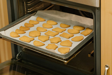 Making Baking Homemade Gingerbread Cookies in Oven