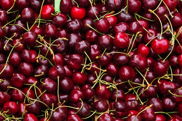 Fresh organic cherries on the farmers market.