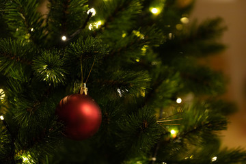 Christmas decoration and ornaments hanging on Pine Christmas tree