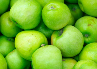 Green fresh apples sales on the market
