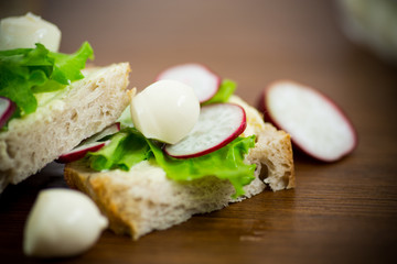 sandwich with cheese, lettuce and red radish on a wooden