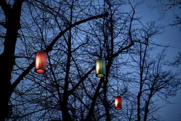 Christmas, winter lights