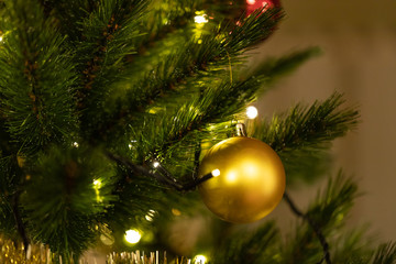 Christmas decoration and ornaments hanging on Pine Christmas tree