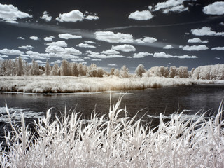 infrared photography, landscape with lake, white trees and grass