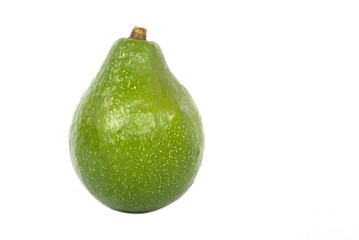 avocado fresh green isolated on white standing potrait 